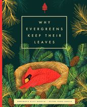 Why Evergreens Keep Their Leaves