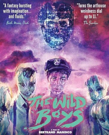 Wild Boys [Edizione: Stati Uniti]