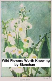 Wild Flowers Worth Knowing