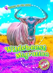 Wildebeest Migration