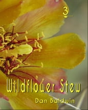 Wildflower Stew 3