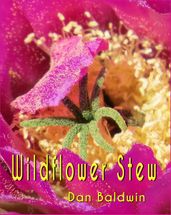 Wildflower Stew