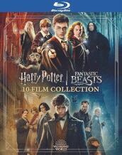Wizarding World 10-Film Collection (10 Blu-Ray) [Edizione: Stati Uniti]
