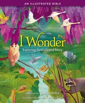 I Wonder: Exploring God s Grand Story