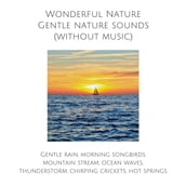 Wonderful Nature: Gentle nature sounds (without music)