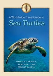 A Worldwide Travel Guide to Sea Turtles