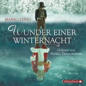 Wunder einer Winternacht. Die Weihnachtsgeschichte