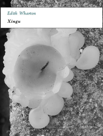 Xingu - Edith Wharton