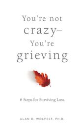 You re Not CrazyYou re Grieving: