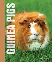 Your Guinea Pig