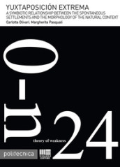 Yuxtaposicion extrema. A symbiotic relationship between the spontaneous settlements and the morphology of the natural context