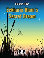 Zekharia Blum  Secret Dream