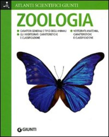 Zoologia. Ediz. illustrata - Adriana Rigutti