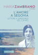 L amore a Segovia. Lettere a Gregorio del Campo