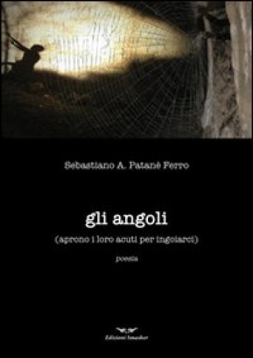 Gli angoli aprono i loro acuti per ingoiarci - Sebastiano Patanè Ferro