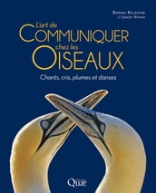 L art de communiquer chez les oiseaux