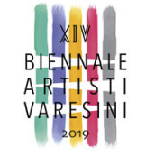 L arte degli elementi. 14ª Rassegna Biennale artisti varesini. Ediz. illustrata