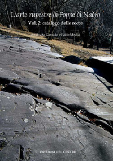 L'arte rupestre di Foppe di Nadro. 2: Catalogo delle rocce incise - Paolo Medici - Silvana Gavaldo