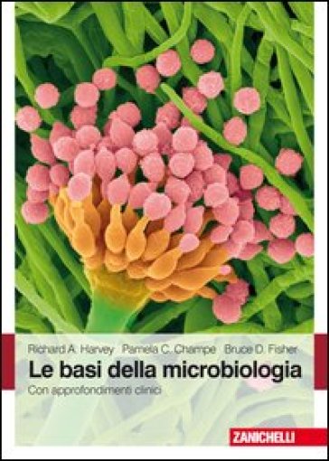 Le basi della microbiologia. Con approfondimenti clinici - Richard D. Fisher - Richard Harvey - Pamela C. Champe