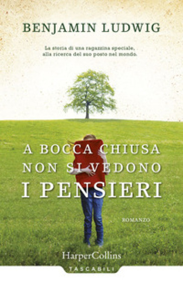 A bocca chiusa non si vedono i pensieri - Benjamin Ludwig