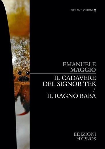 Il cadavere del signor Tek - Il ragno Baba - Emanuele Maggio