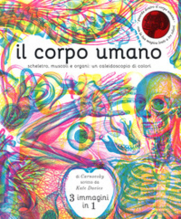 Il corpo umano. Scheletro, muscoli e organi: un caleidoscopio di colori. Ediz. a colori - Kate Davies