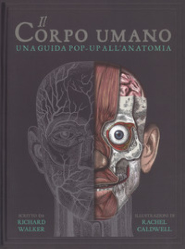 Il corpo umano. Una guida pop-up all'anatomia - Richard Walker