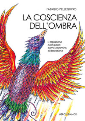 La coscienza dell'ombra. L'espiazione della pena come cammino di liberazione - Fabrizio Pellegrino