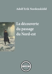 La découverte du passage du Nord-est