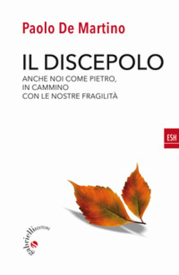 Il discepolo. Anche noi come Pietro, in cammino con le nostre fragilità - Paolo De Martino