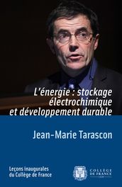 L énergie: stockage électrochimique et développement durable