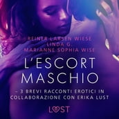 L escort maschio - 3 brevi racconti erotici in collaborazione con Erika Lust