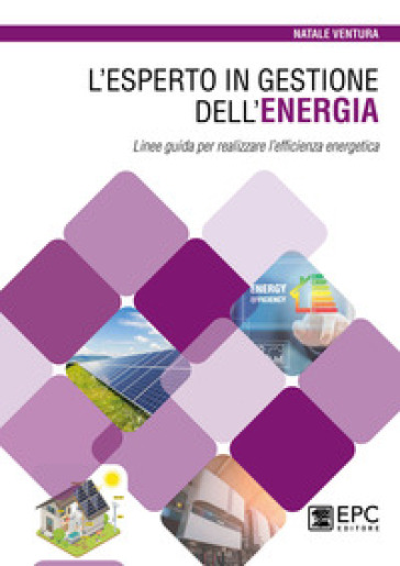 L'esperto in gestione dell'energia. Linee guida per realizzare l'efficienza energetica - Natale Ventura