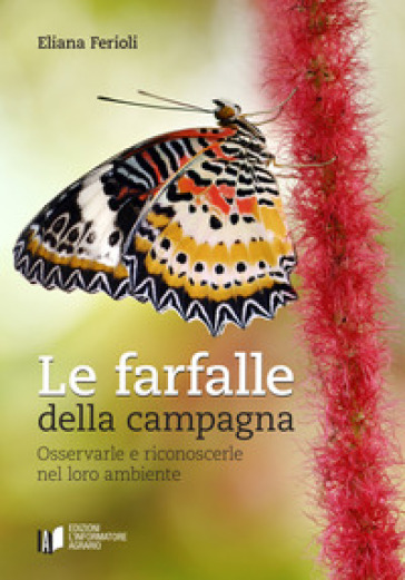 Le farfalle della campagna. Osservarle e riconoscerle nel loro ambiente - Eliana Ferioli