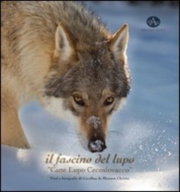 Il fascino del lupo. Cane lupo cecoslovacco-The charm oh a wolf. Czechoslovakian wolfdog. Ediz. illustrata - Carolina De Homem Christo