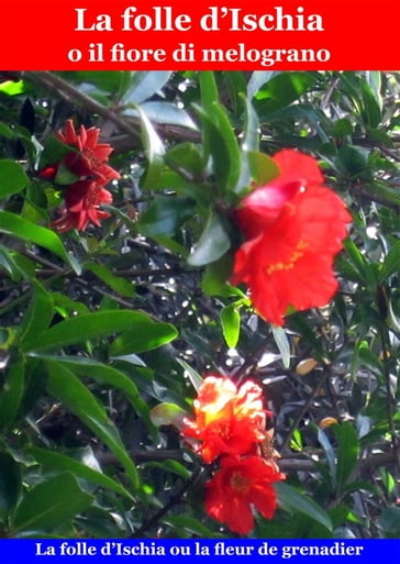 La folle d'Ischia o il fiore di melograno - Raffaele Castagna