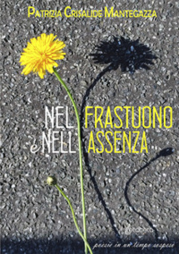 Nel frastuono e nell'assenza. Poesie in un tempo sospeso - Patrizia Crisalide Mantegazza