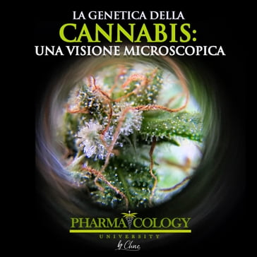 La genetica della cannabis: una visione microscopica - Pharmacology University