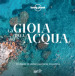 La gioia dell acqua. Un mondo di sublimi esperienze acquatiche. Ediz. illustrata