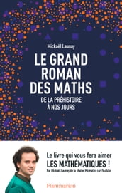 Le grand roman des maths. De la préhistoire à nos jours