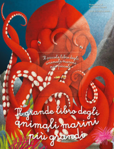 Il grande libro degli animali marini più grandi. Il piccolo libro degli animali marini più piccoli. Ediz. a colori - Cristina Banfi