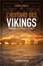 L histoire des Vikings comme si vous y étiez !