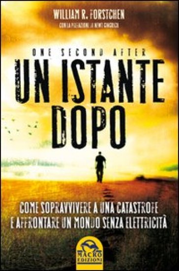 Un istante dopo. Come sopravvivere a una catastrofe e affrontare il mondo senza elettricità - William R. Forstchen