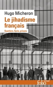 Le jihadisme français. Quartiers, Syrie, prisons