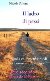 Il ladro di passi. Libro secondo. La via de la Plata