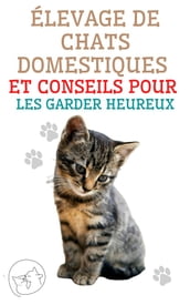 Élevage de chats domestiques et conseils pour les garder heureux