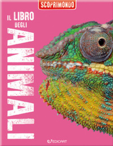 Il libro degli animali. Scoprimondo. Ediz. a colori - Kelly Miles