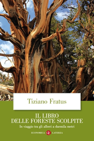 Il libro delle foreste scolpite - Tiziano Fratus