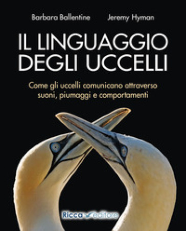 Il linguaggio degli uccelli. Come gli uccelli comunicano attraverso suoni, piumaggi e comportamenti - Barbara Ballentine - Jeremy Hyman