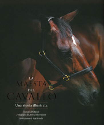 La maestà del cavallo. Una storia illustrata. Ediz. illustrata - Mike Unwin